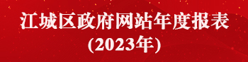 2023年江城區政府網站年度報表